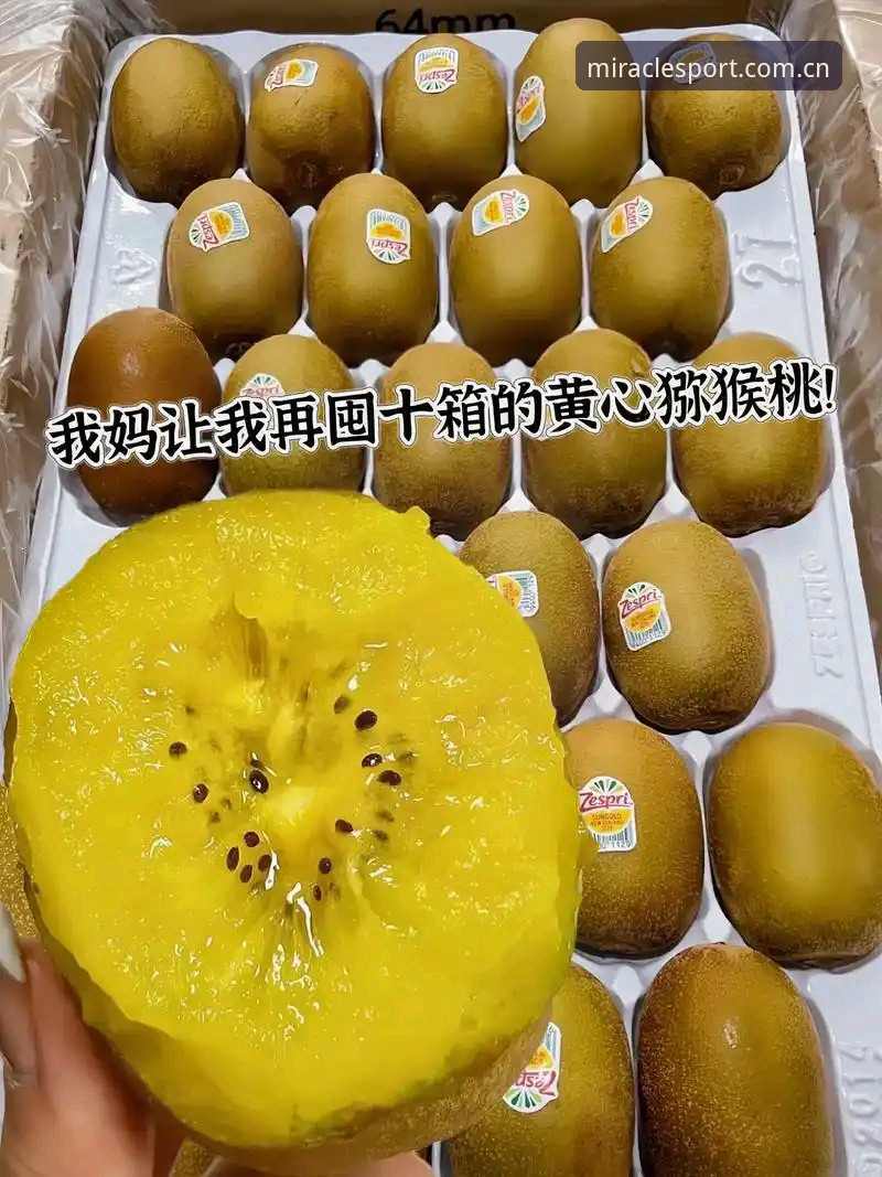 资深用户分享：奇异果体育客户端使用心得与实战经验