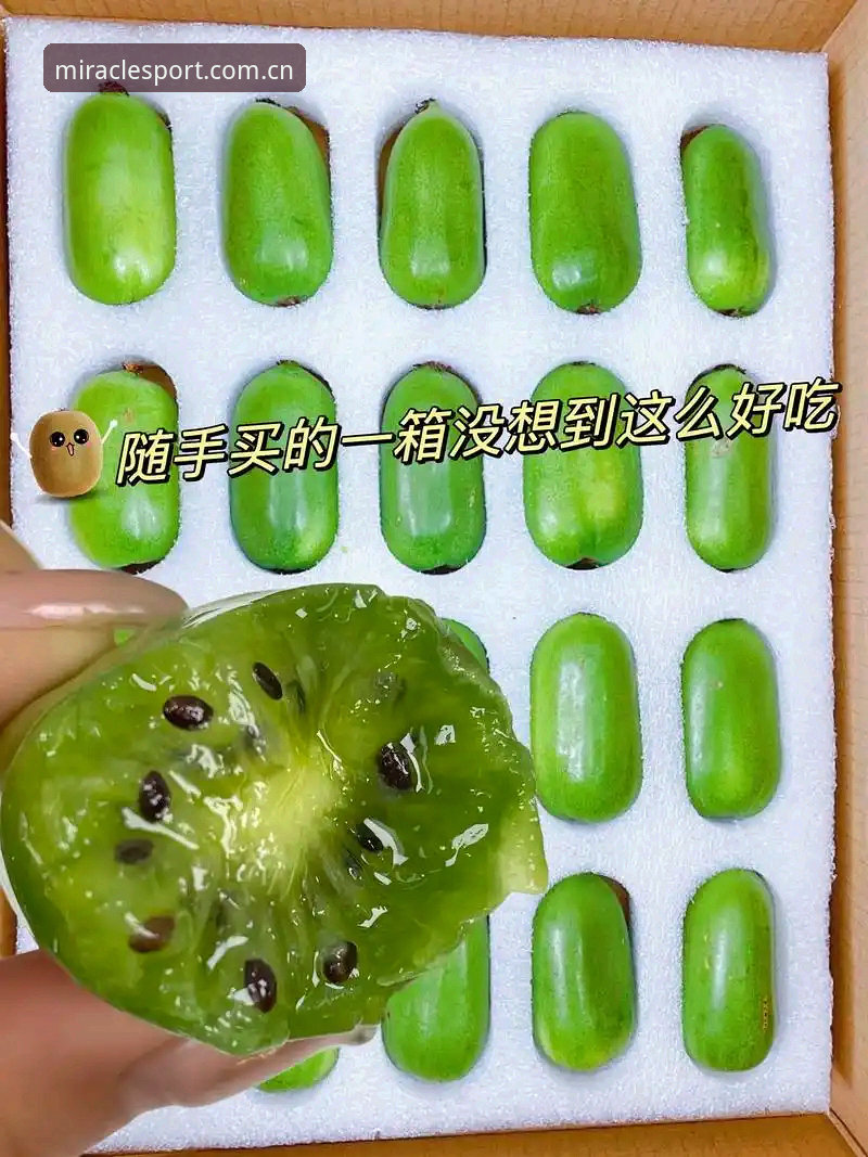 资深用户分享：奇异果体育客户端使用心得与实战经验