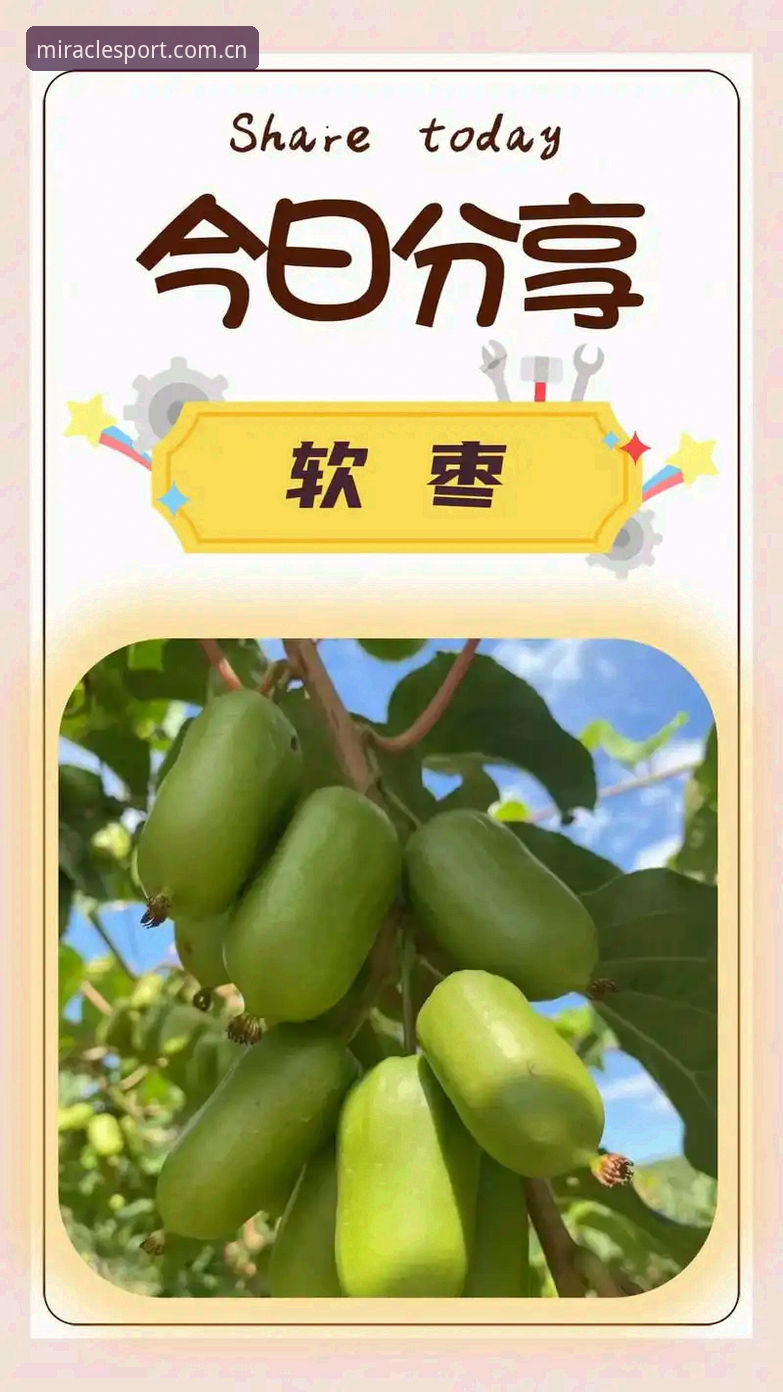 奇异果体育版本更新最新版全面解析：不止是升级，更是体育体验的革新突破